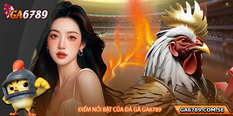 Điểm nổi bật của chuyên mục đá gà tại Ga6789