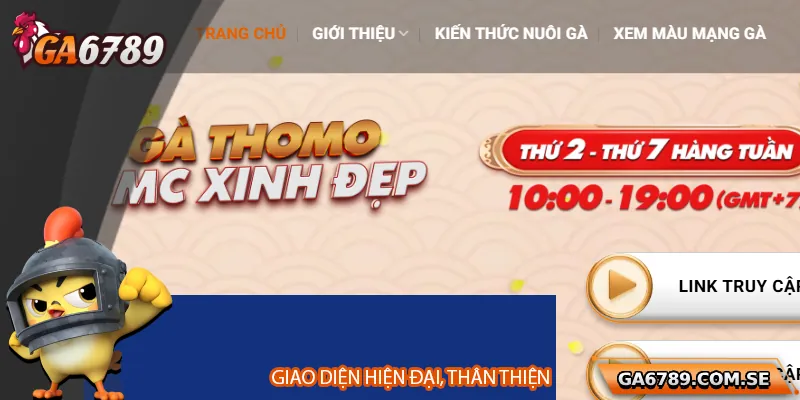 Giao diện cá cược đá gà AOE hiện đại, hiển thị kèo rõ ràng và trực tiếp trận đấu