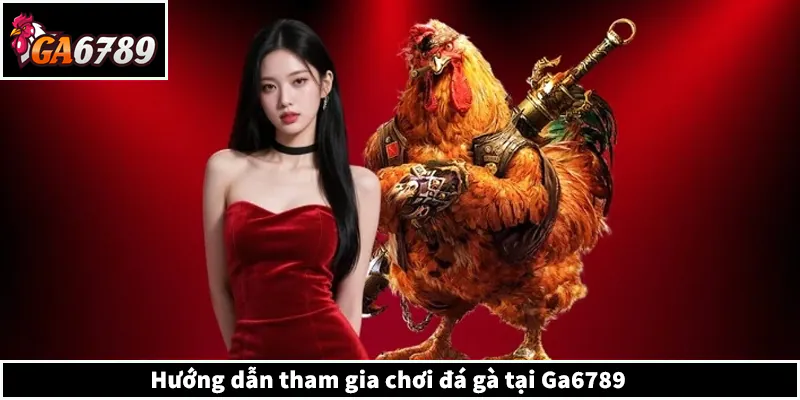 Hướng dẫn tham gia chơi đá gà tại Ga6789
